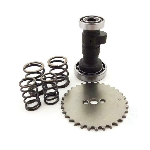 Kit árbol de levas ZCam motor ZS125F Pitbike AllPro